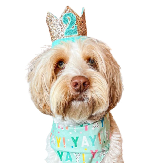 Dog Birthday Party Crown