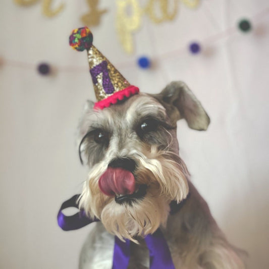 Dog Birthday Party Hat